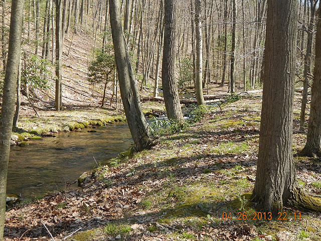 poe trip 04-26-2013 009.jpg -                                One run on Cherry Spring was more attractve than the last